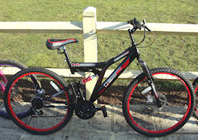 dunlop disc 26 mountain bike